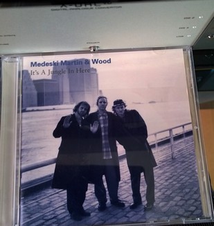 medeski  martin & wood it's a jungle in here 93.jpg