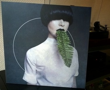 Kangding Ray ‎– Cory Arcane 2015.jpg